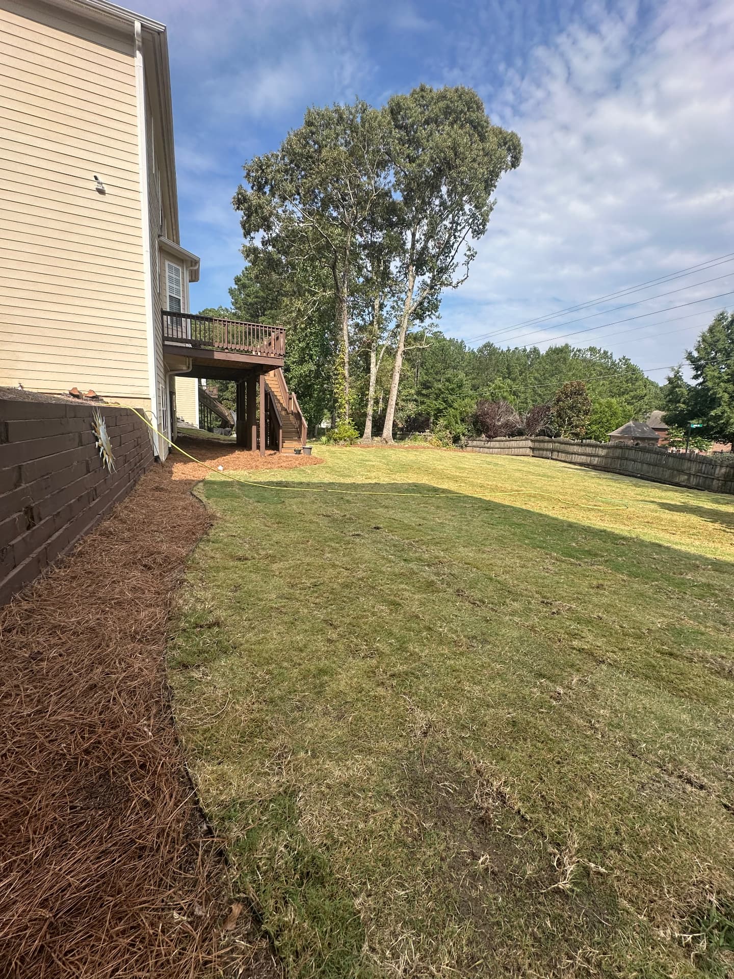 Refreshed backyard with clean pine straw beds and a wide open lawn