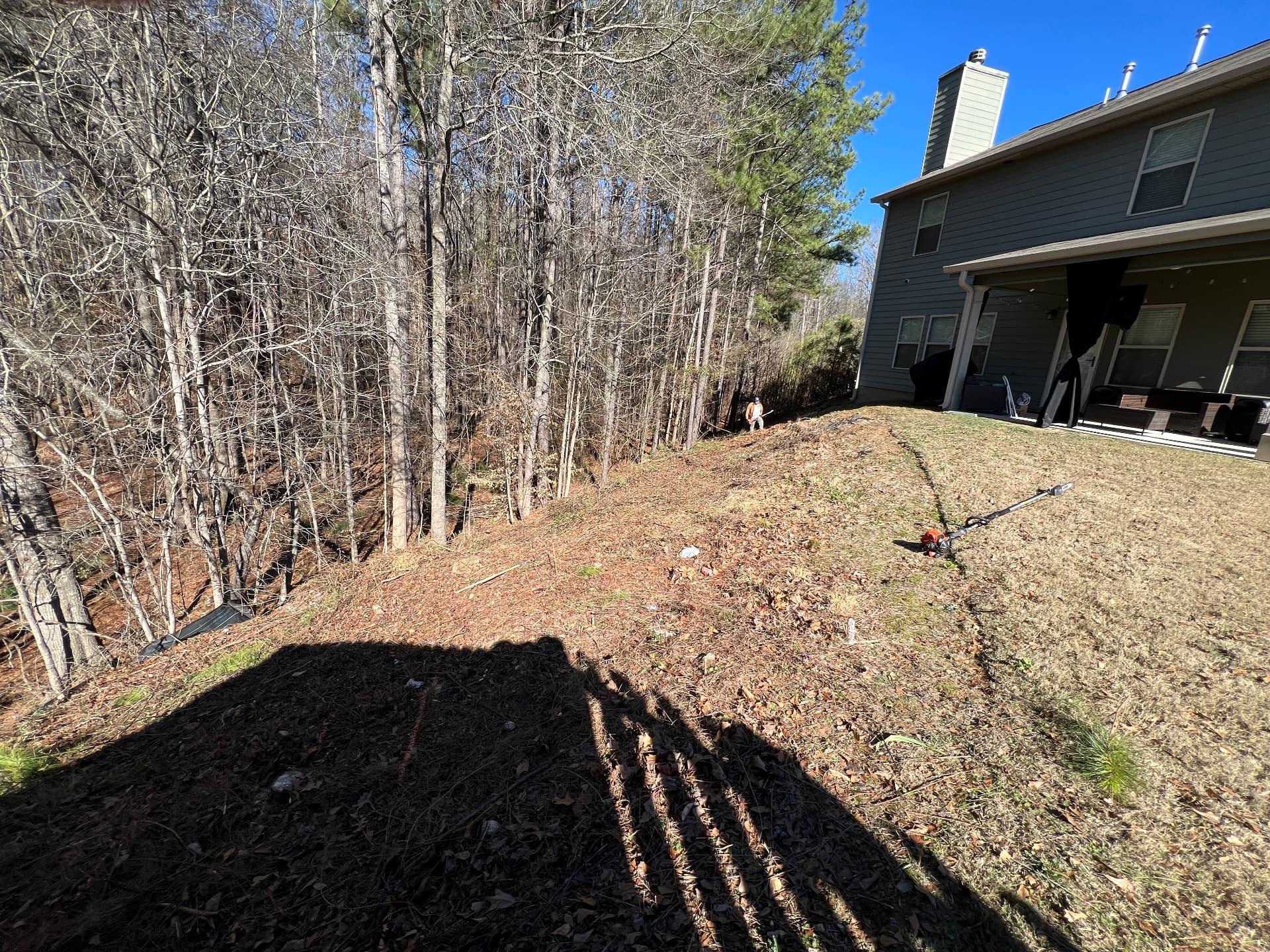 Cleared slope beside dormant grass and a wooded boundary